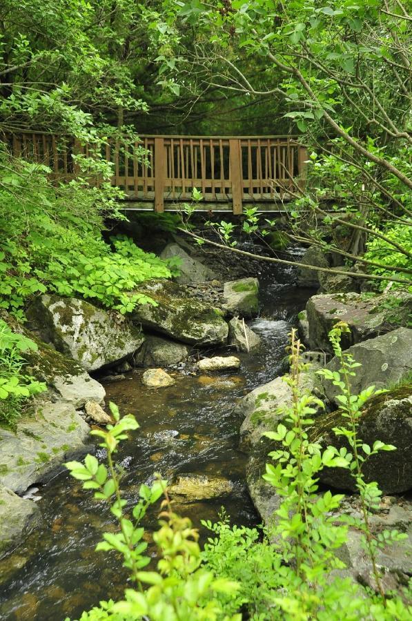 Stay Berkshires ウィリアムズタウン エクステリア 写真